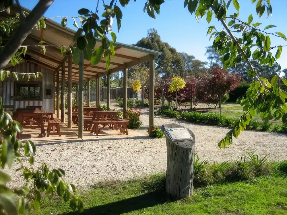 Avenel Maze | School and Group Camps