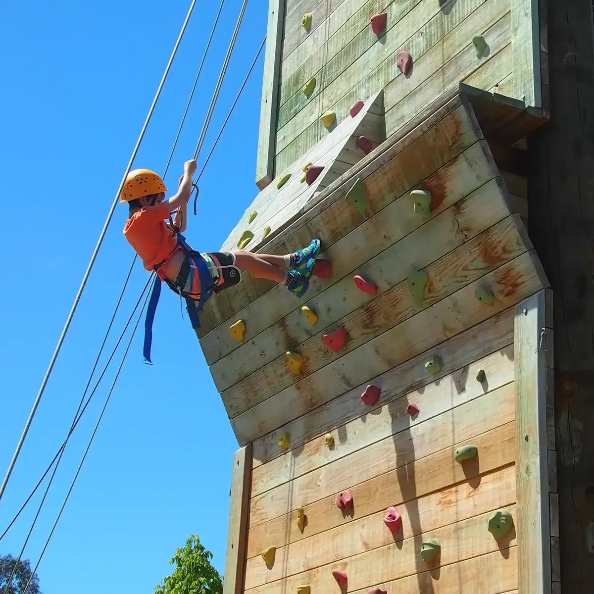 Rock Climbing Wall at Alexandra Adventure Resort | School and Group Camps