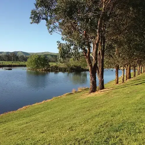 Lake Area at Alexandra Adventure Resort | School and Group Camps