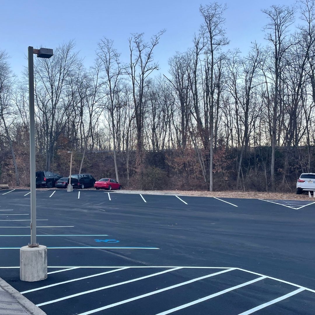 Empty parking lot with trees in background, several cars parked.