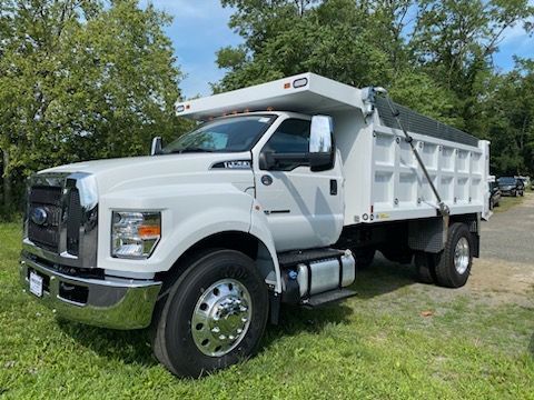 White Ford F-650 dump truck parked on grass, in front of a tree line.