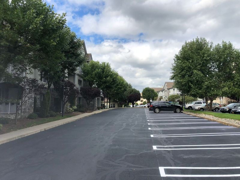 Asphalt parking lot lined with parked cars and trees; buildings on either side under a cloudy sky.
