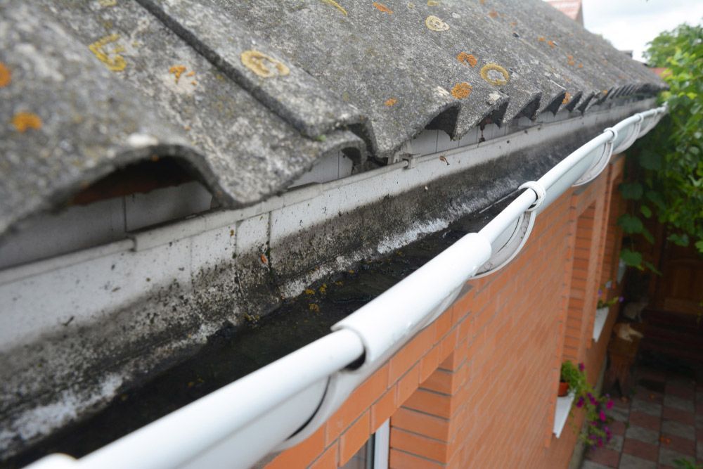 A Close Up of a Gutter on the Roof of a House — All Plumb & Gas in North Boambee Valley, NSW