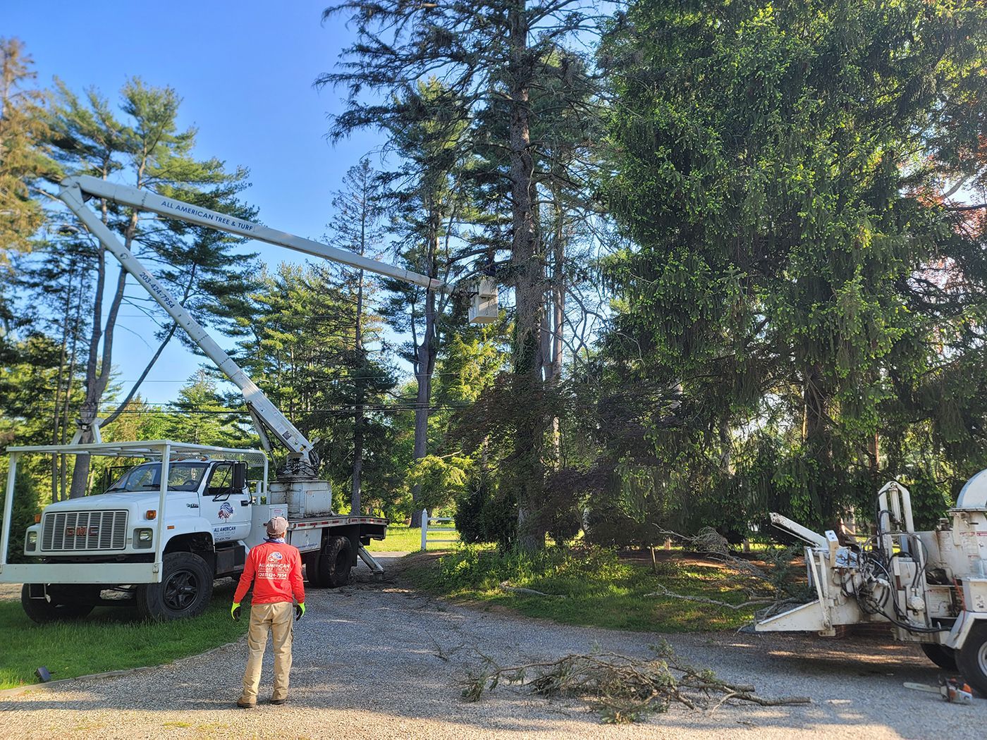 Tree service truck with lift arm extended, worker watches as tree is trimmed, a wood chipper present.