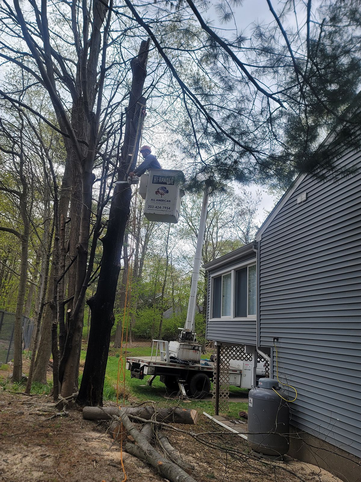 A person in a bucket lift trimming a tall tree next to a house. Logs lie on the ground.