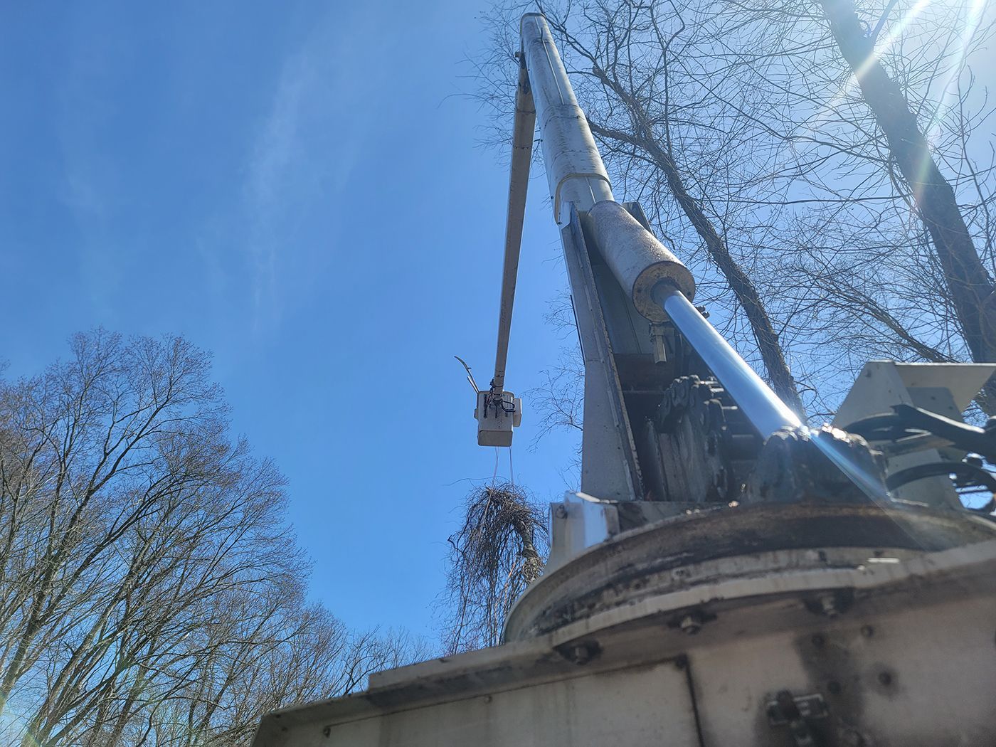 A hydraulic lift reaching towards tree branches under a bright blue sky.