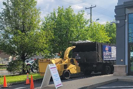 Yellow wood chipper and black dump truck parked near a building and trees on a sunny day.