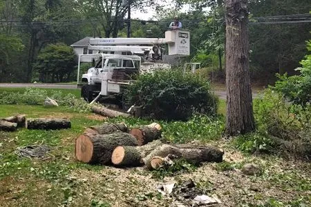 Tree-trimming truck cutting fallen branches in a grassy yard with logs and debris.