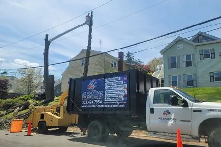 Tow truck and white pickup at a roadside work site with orange cones and a dumpster along utility poles