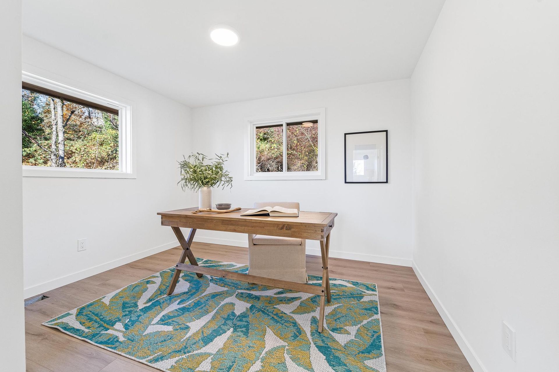 Bright office with wooden desk, blue-green rug, white walls, and two windows with a potted plant