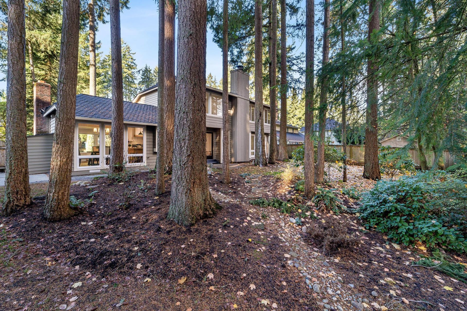 Wooded residential house with tall pine trees and a leaf-covered ground in front.
