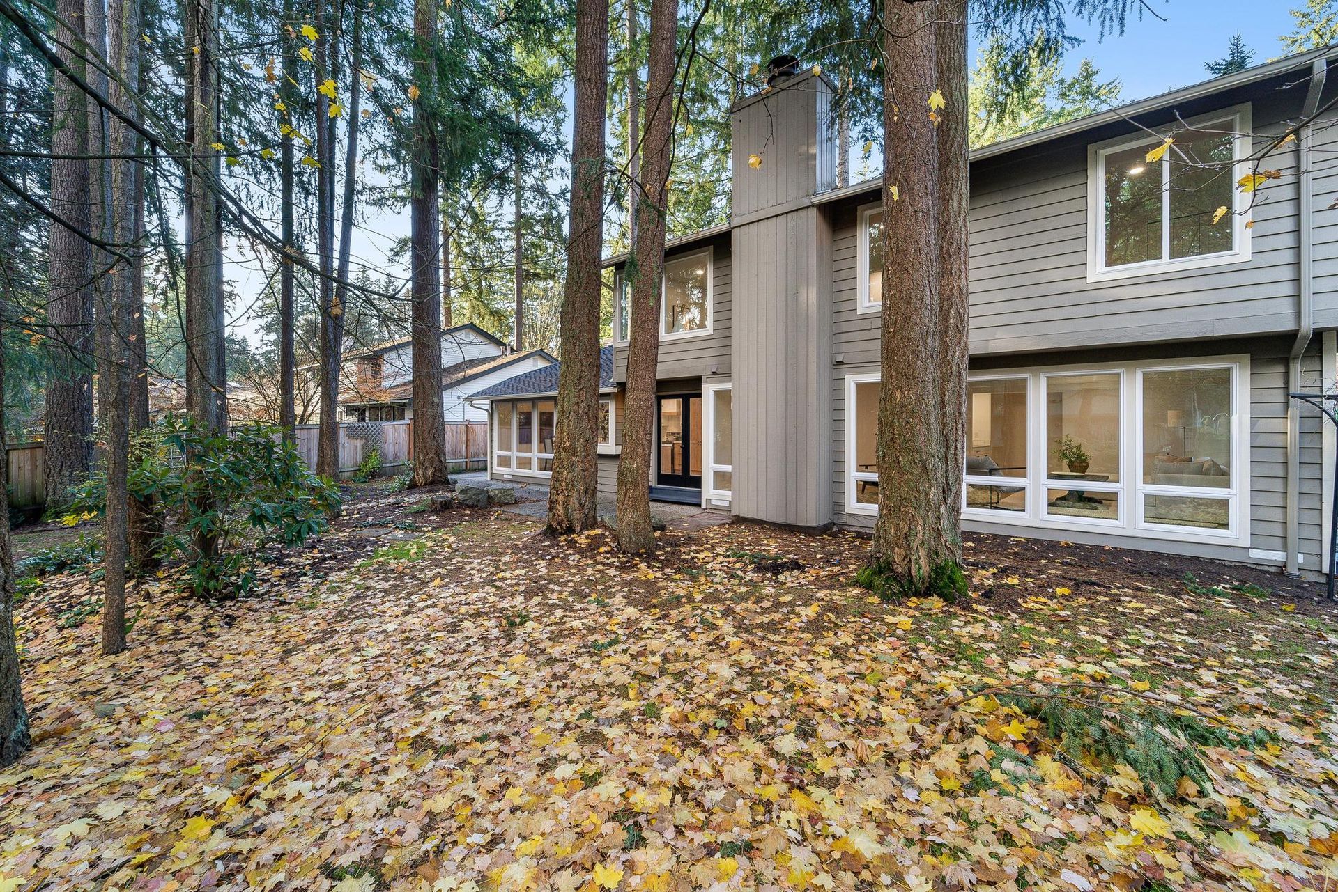 Wooded backyard beside a two-story house with large windows and a leaf-covered ground