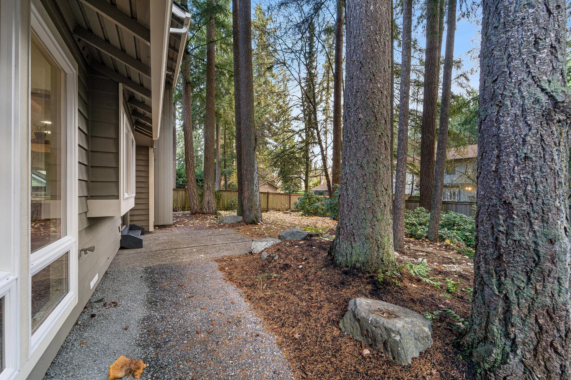 Wooded path beside a house, with tall trees, gravel, and fallen leaves on the ground