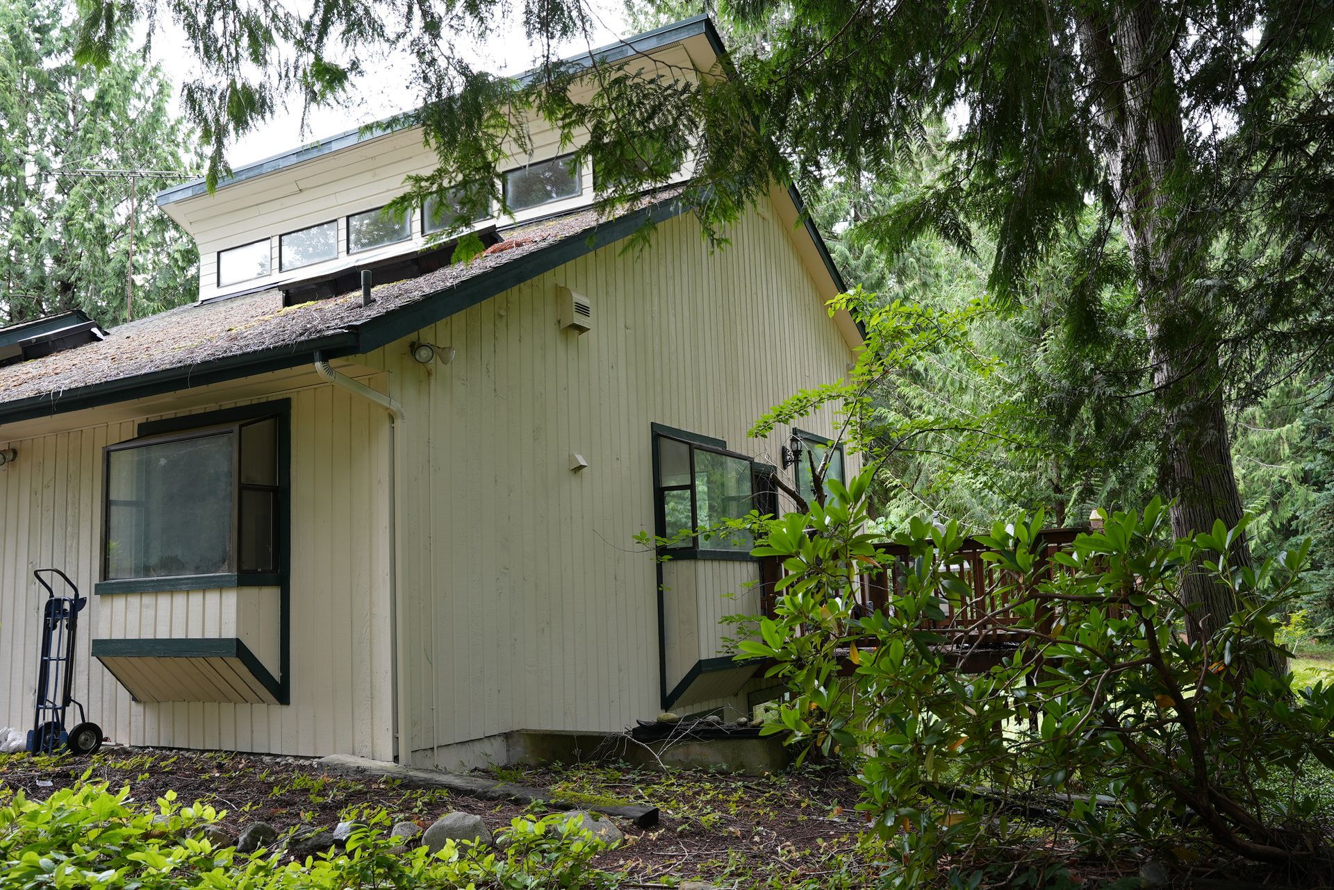 Small beige house with green-trimmed windows, partly hidden by trees and shrubs.