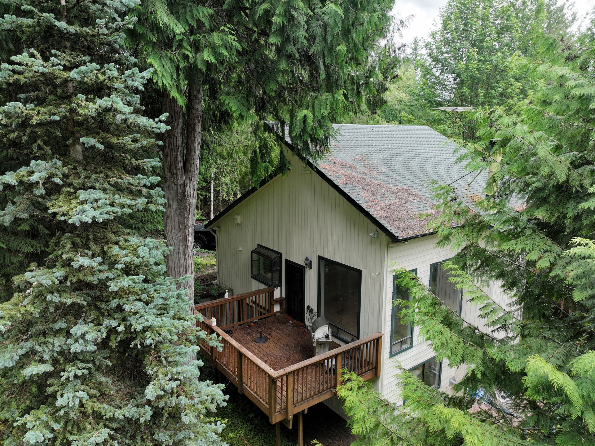 Small white cabin with wooden deck surrounded by tall evergreen trees in a forest