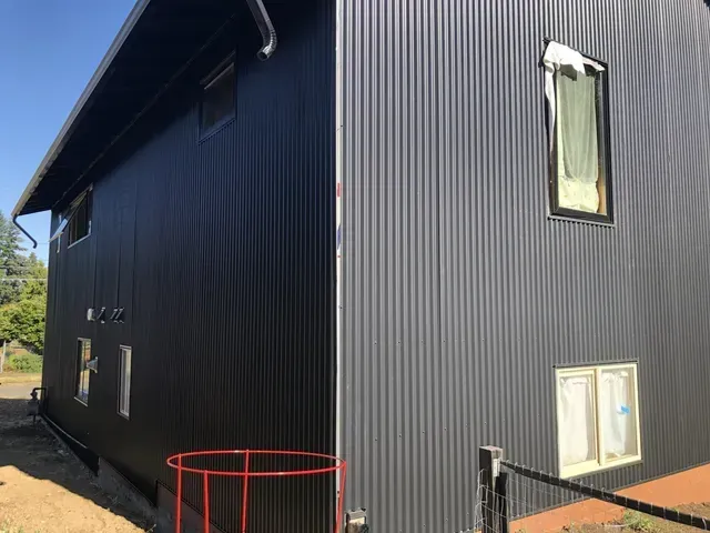 A black house with a red ladder in front of it.