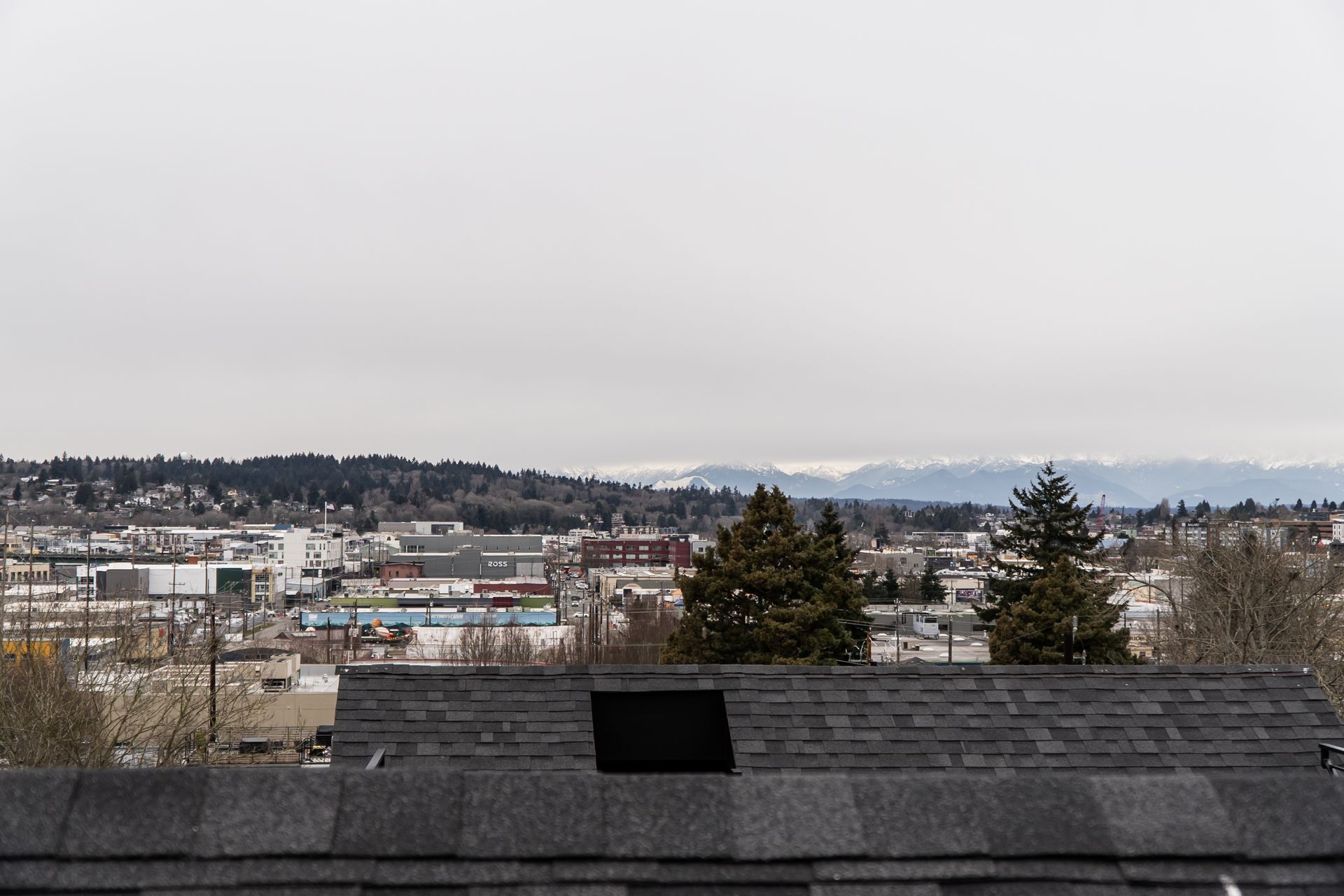 Snowy cityscape with rooftops, evergreen trees, and distant mountains under a gray sky