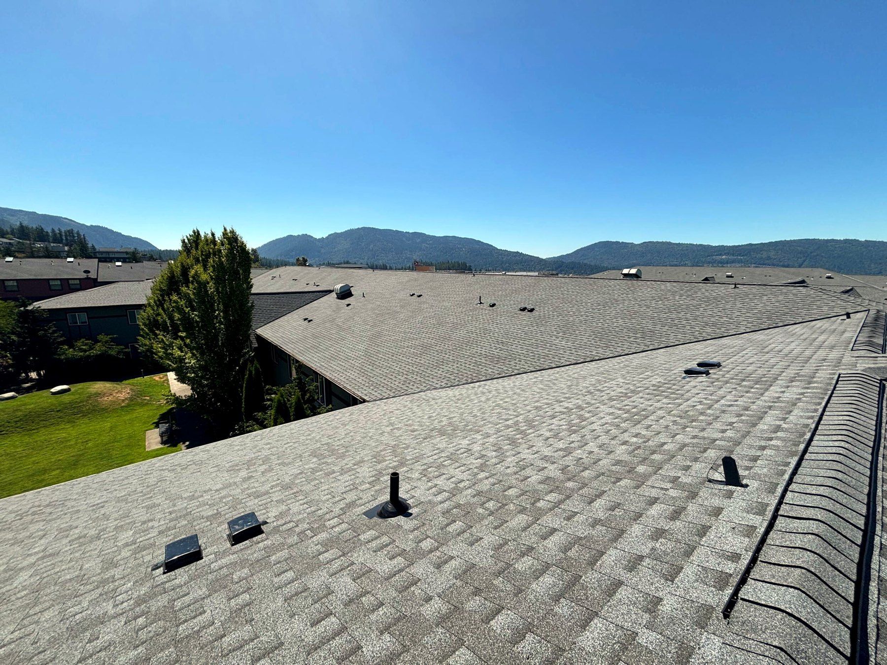 New roof vents and architectural shingles on an Ashford at Vista Park building, Issaquah WA