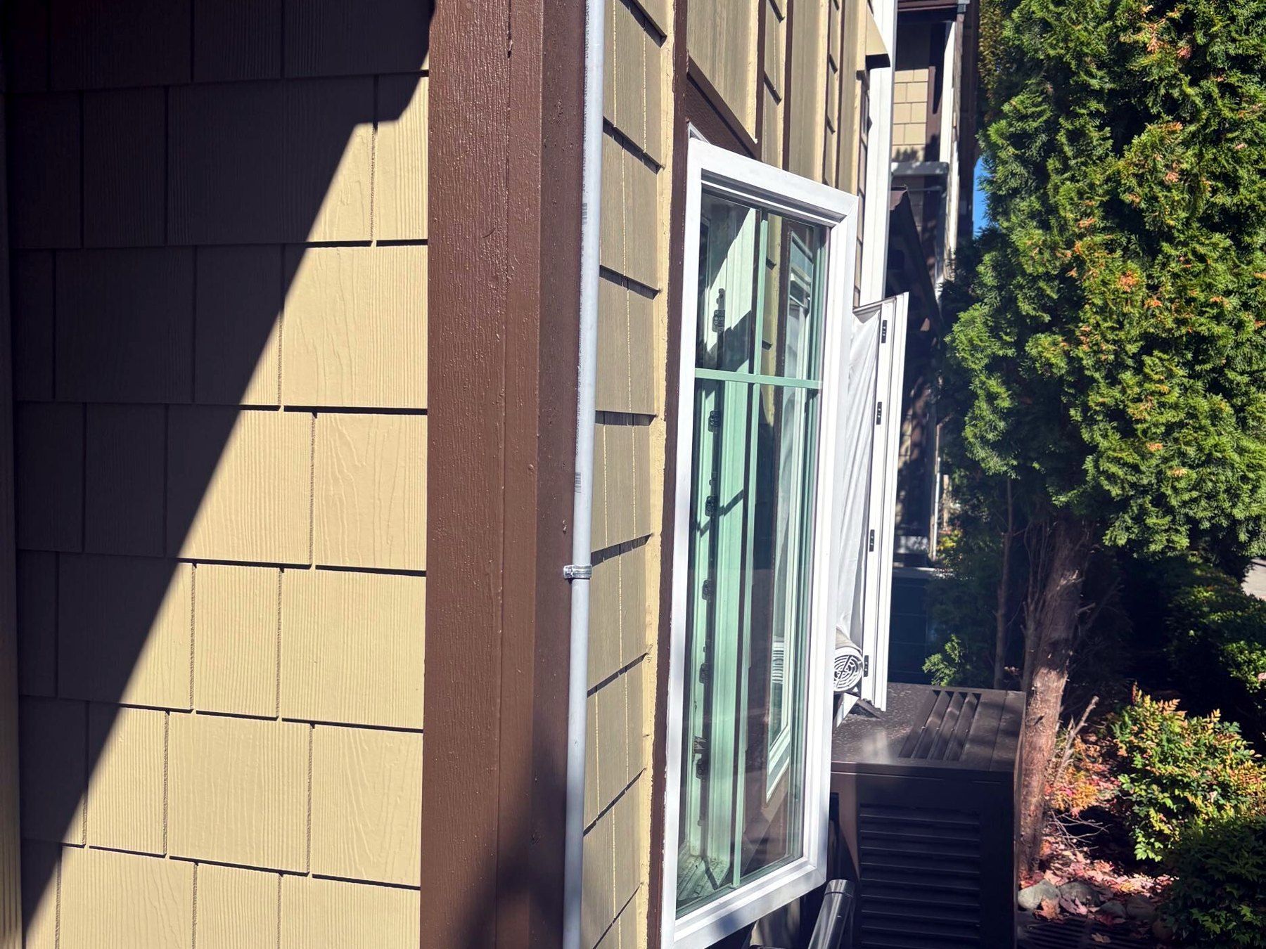 Shake siding accent and window trim detail on new siding at Ashford at Vista Park, Issaquah WA