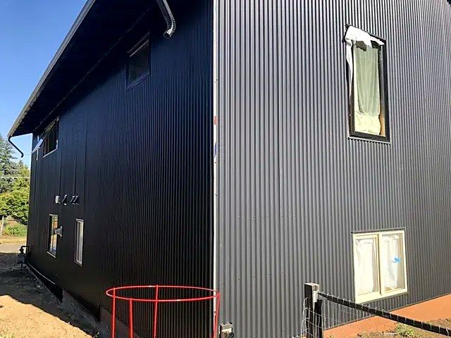 A black house with a red ladder in front of it.