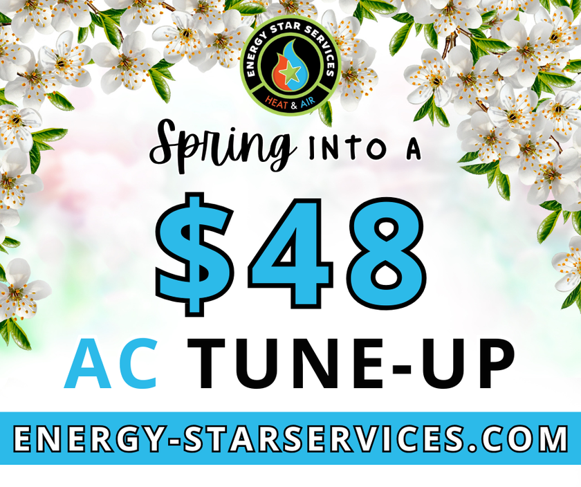 Ad: Install a new heater and get free maintenance. Energy Star Services. Winter scene with dog.