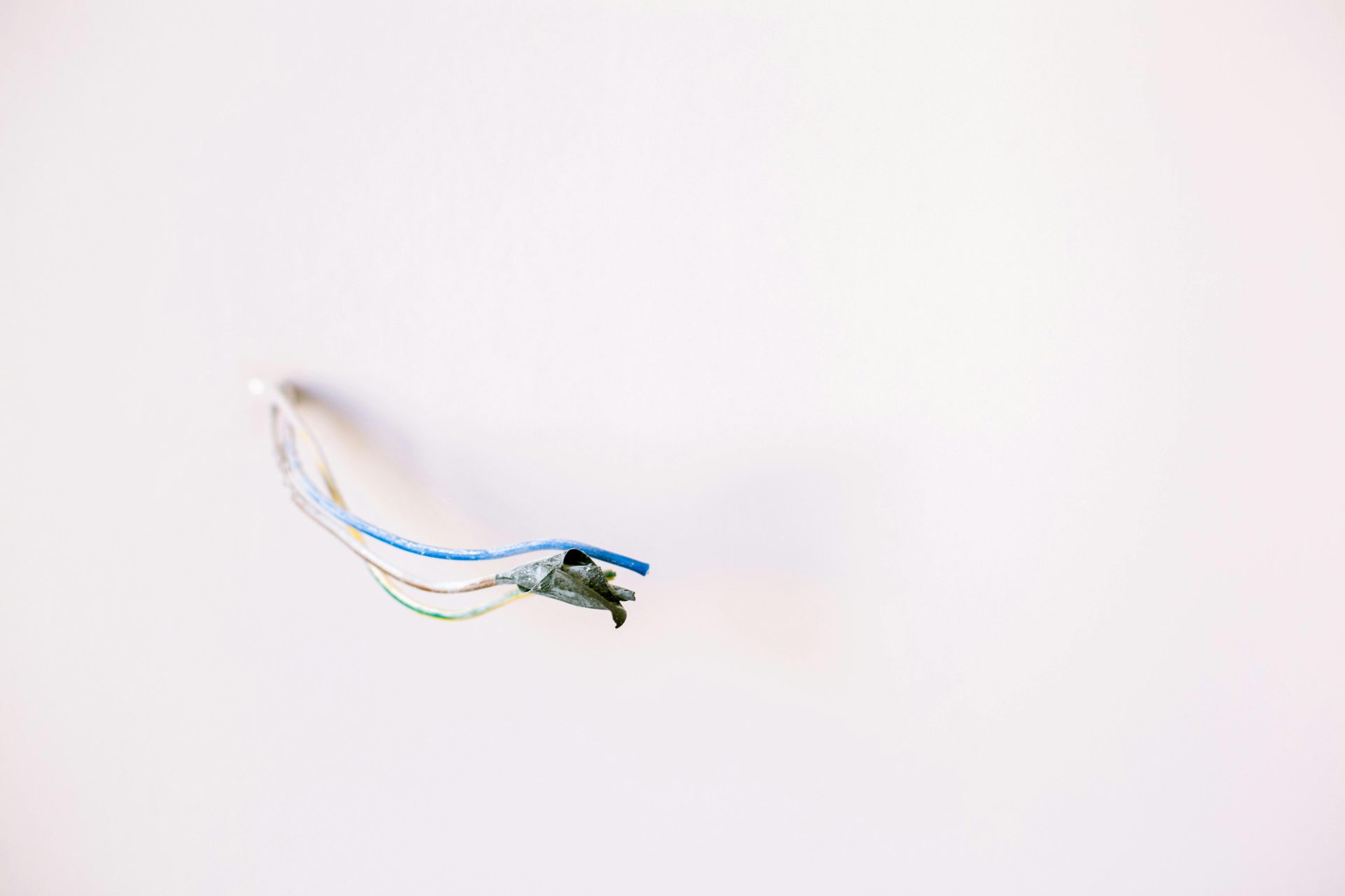 Exposed electrical wires emerging from a white wall.