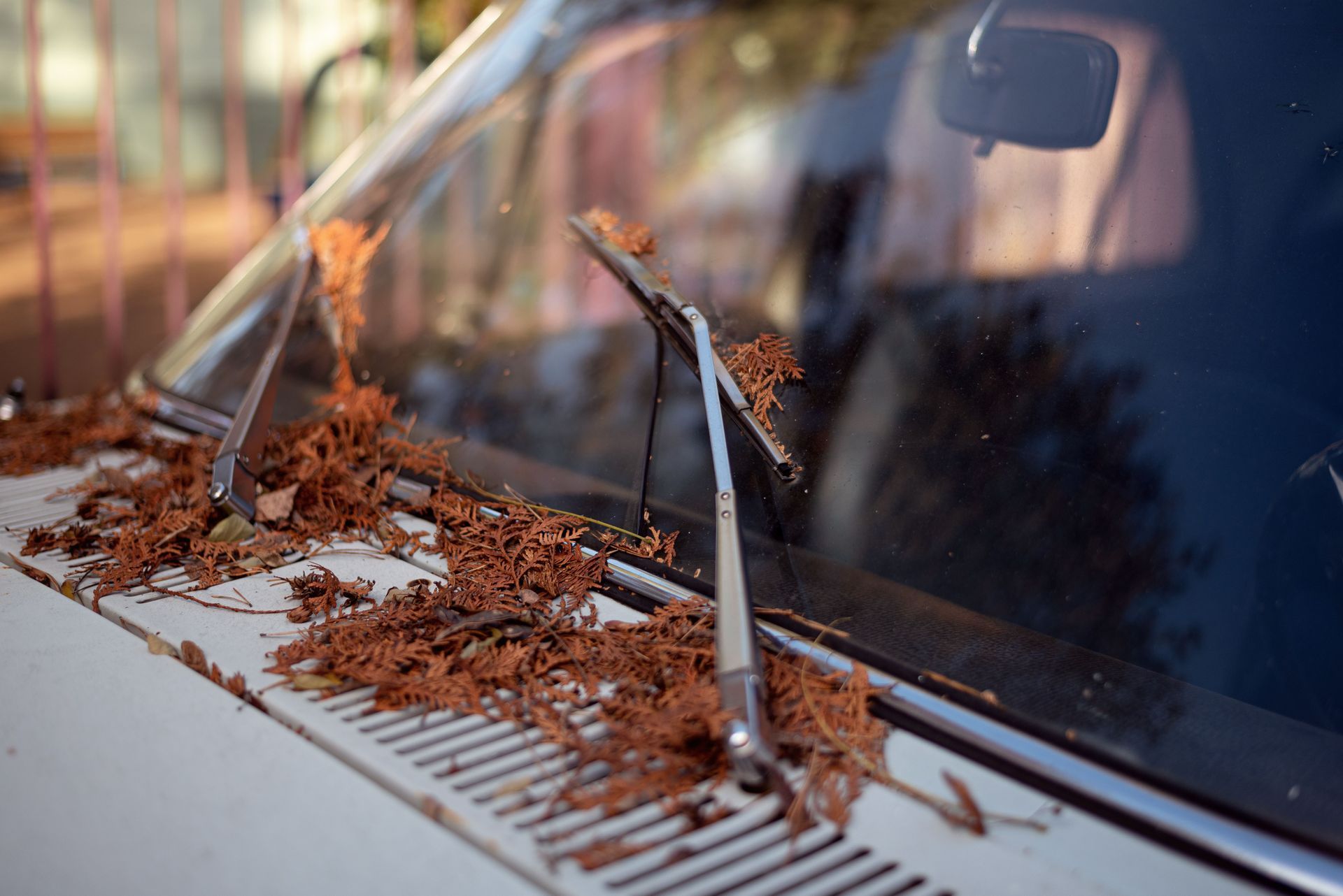 fall auto maintenance