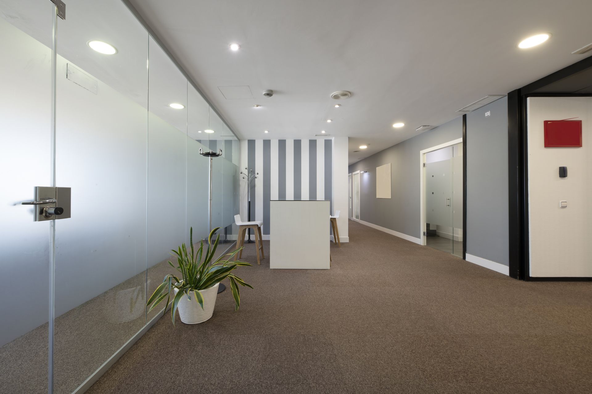 Modern office lobby with frosted glass walls, striped accent wall, white reception desk, and potted plant.
