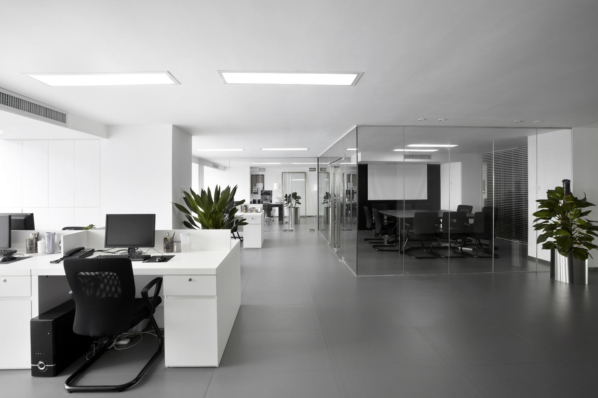 Modern open-plan office with desks, glass meeting rooms, and potted plants