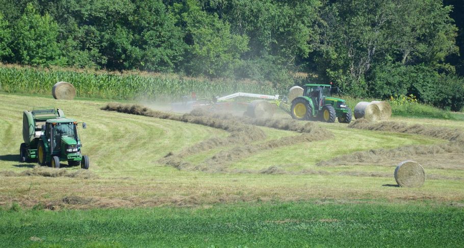 Tractors baling hay in a green field, with dust rising in the sunlight.