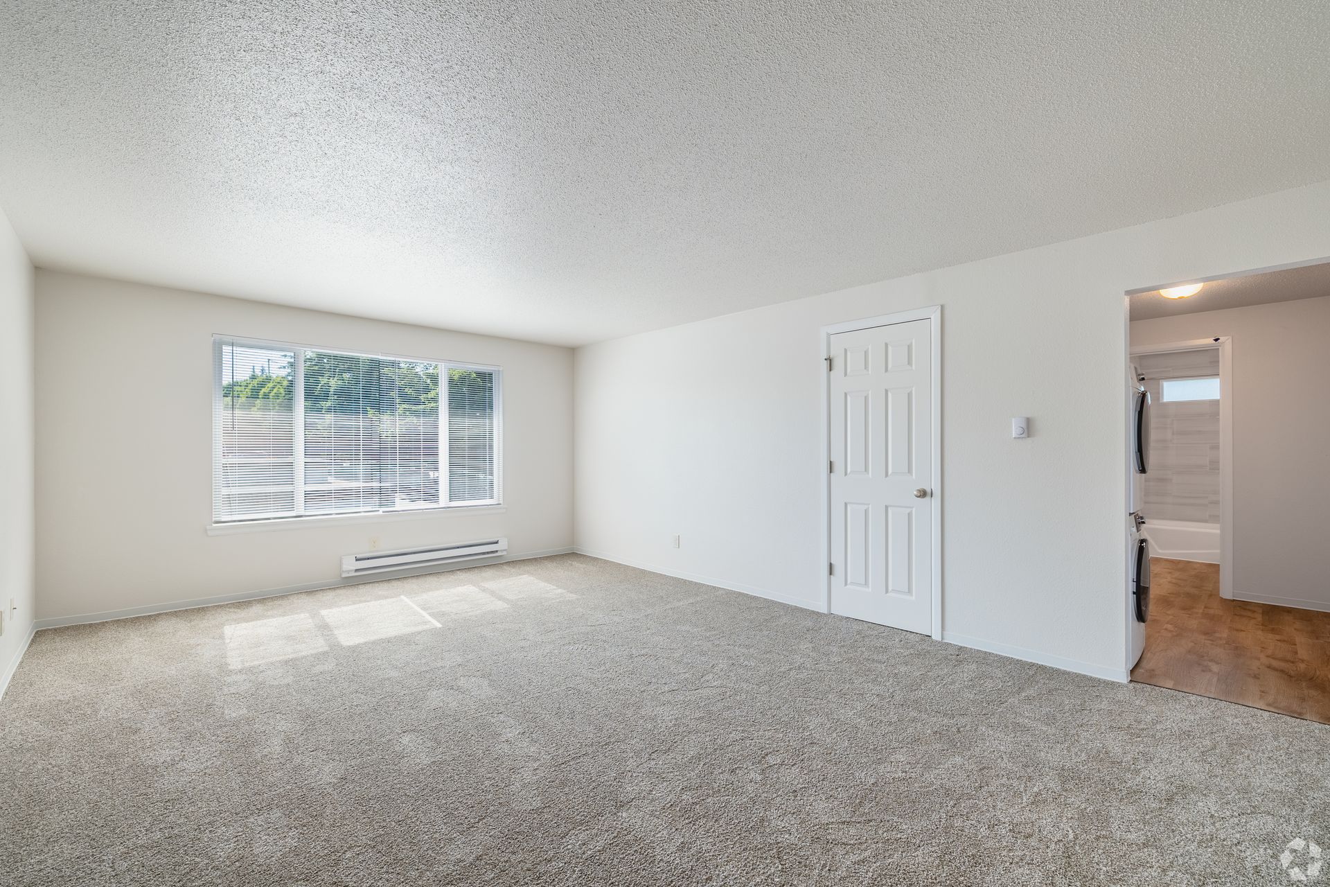 Empty beige-carpeted bedroom with white walls, window, closet door, and adjoining hallway