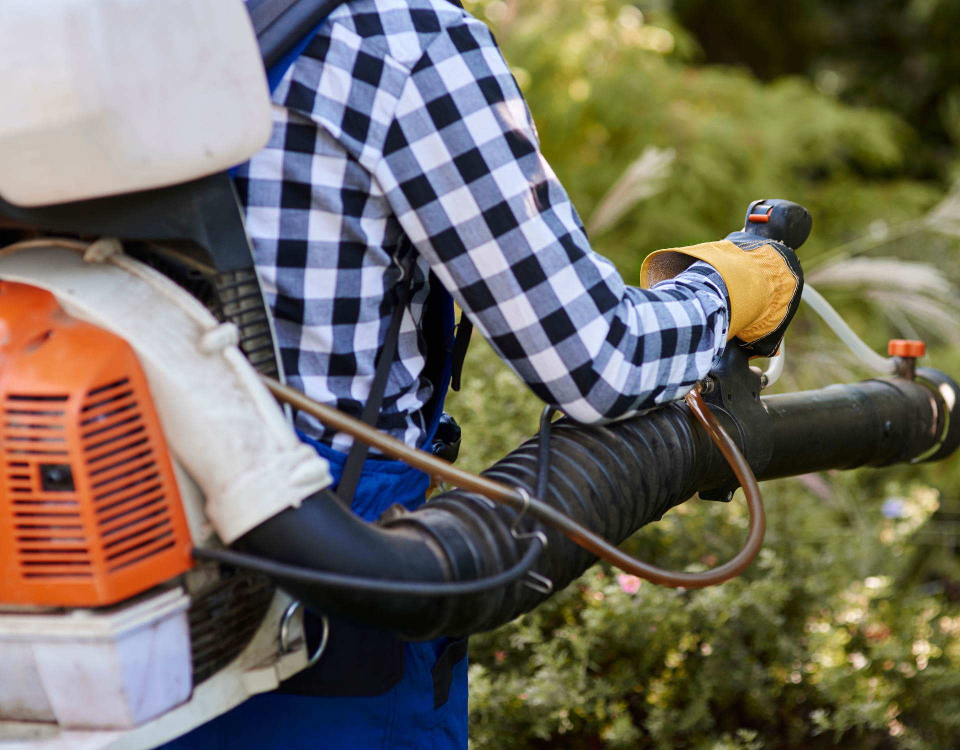 A man is using a backpack blower in a garden.