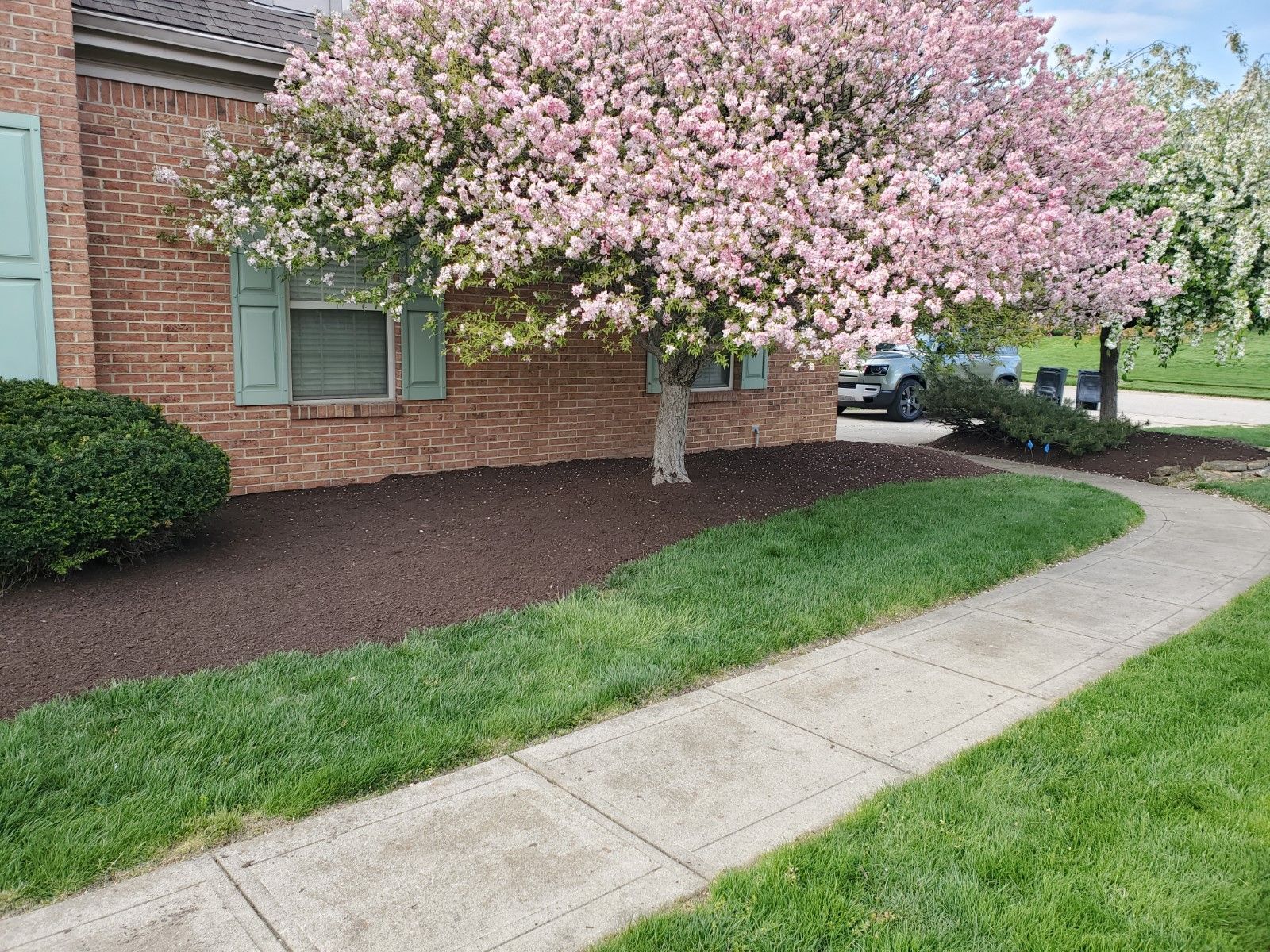 A brick house with a cherry blossom tree in front of it.
