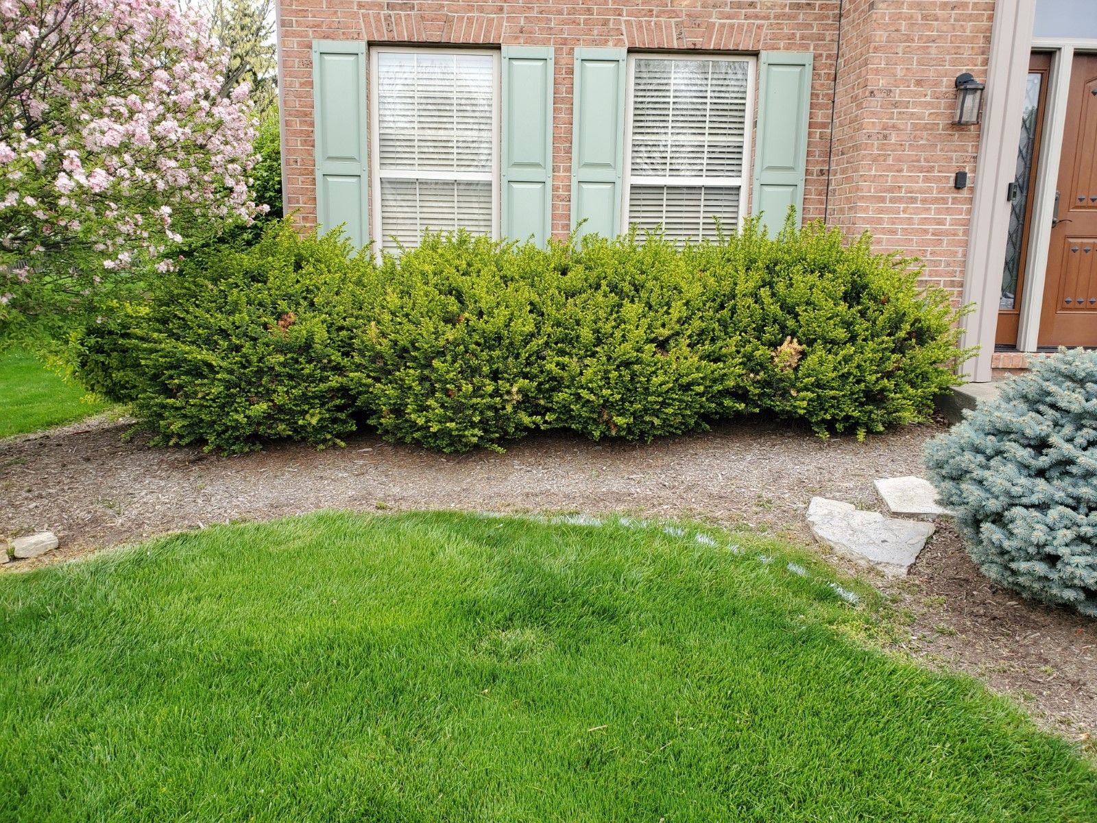 A brick house with green shutters and bushes in front of it.
