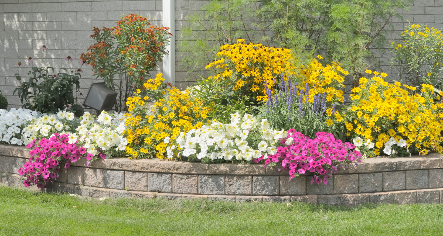 There are many different types of flowers in the garden.