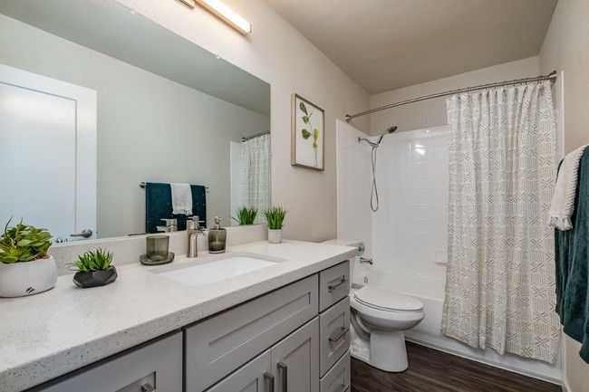 Modern bathroom with double vanity, large mirror, toilet, and shower curtain; gray and white decor