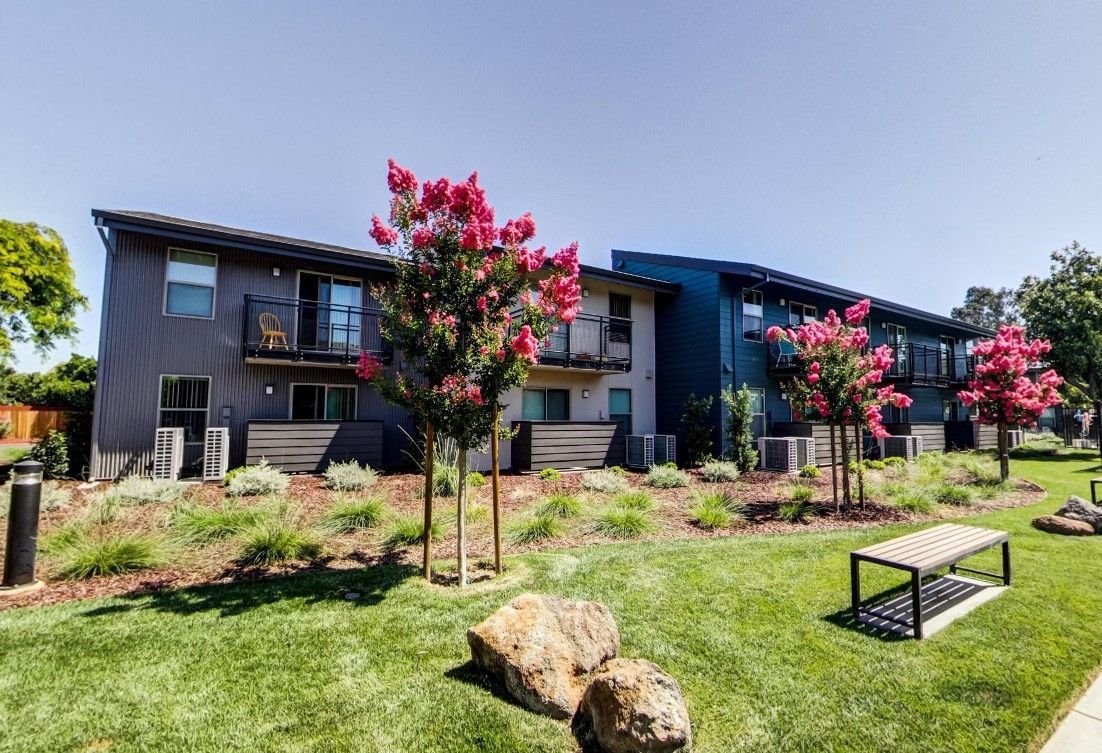 Modern apartment building with landscaped lawn, pink flowering trees, and a bench under a blue sky