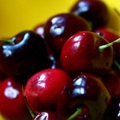 Cherries — Emerald, VIC — Emerald Gardens Nursery Cherries — Emerald, VIC — Emerald Gardens Nursery