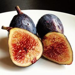 Figs — Emerald, VIC — Emerald Gardens Nursery Figs — Emerald, VIC — Emerald Gardens Nursery