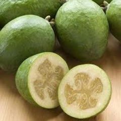 Guava — Emerald, VIC — Emerald Gardens Nursery