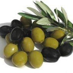 Olive — Emerald, VIC — Emerald Gardens Nursery