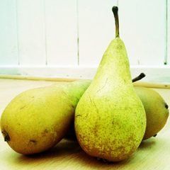 Pears — Emerald, VIC — Emerald Gardens Nursery Pears — Emerald, VIC — Emerald Gardens Nursery