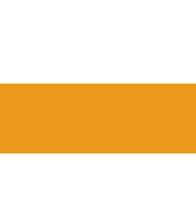 blank transparent image