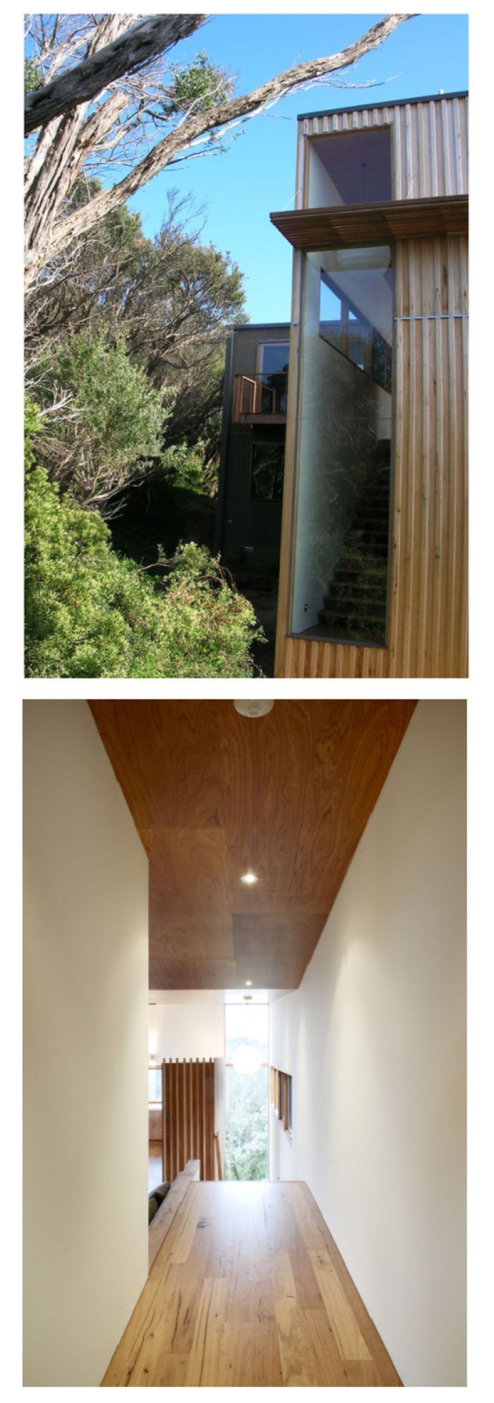Exterior View of Modern Wooden Building Amidst Trees — On The Rise Builders in North Arm, QLD