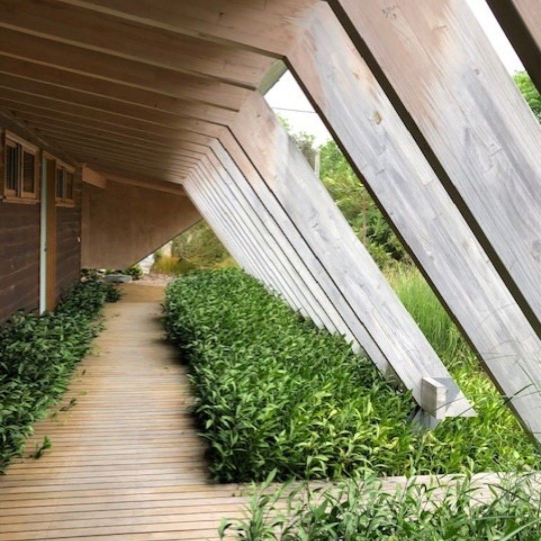 Wooden walkway alongside a row of green plants, under a slanting wooden roof.