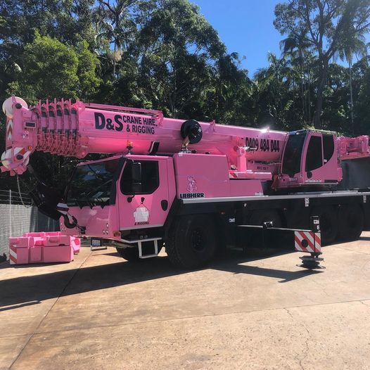 Pink Crane —  D & S Crane Hire & Rigging In Kunda Park, QLD