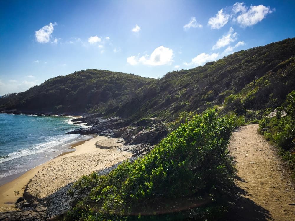 A Path Leading to A Beach on A Sunny Day —  D & S Crane Hire & Rigging In Maroochydore, QLD