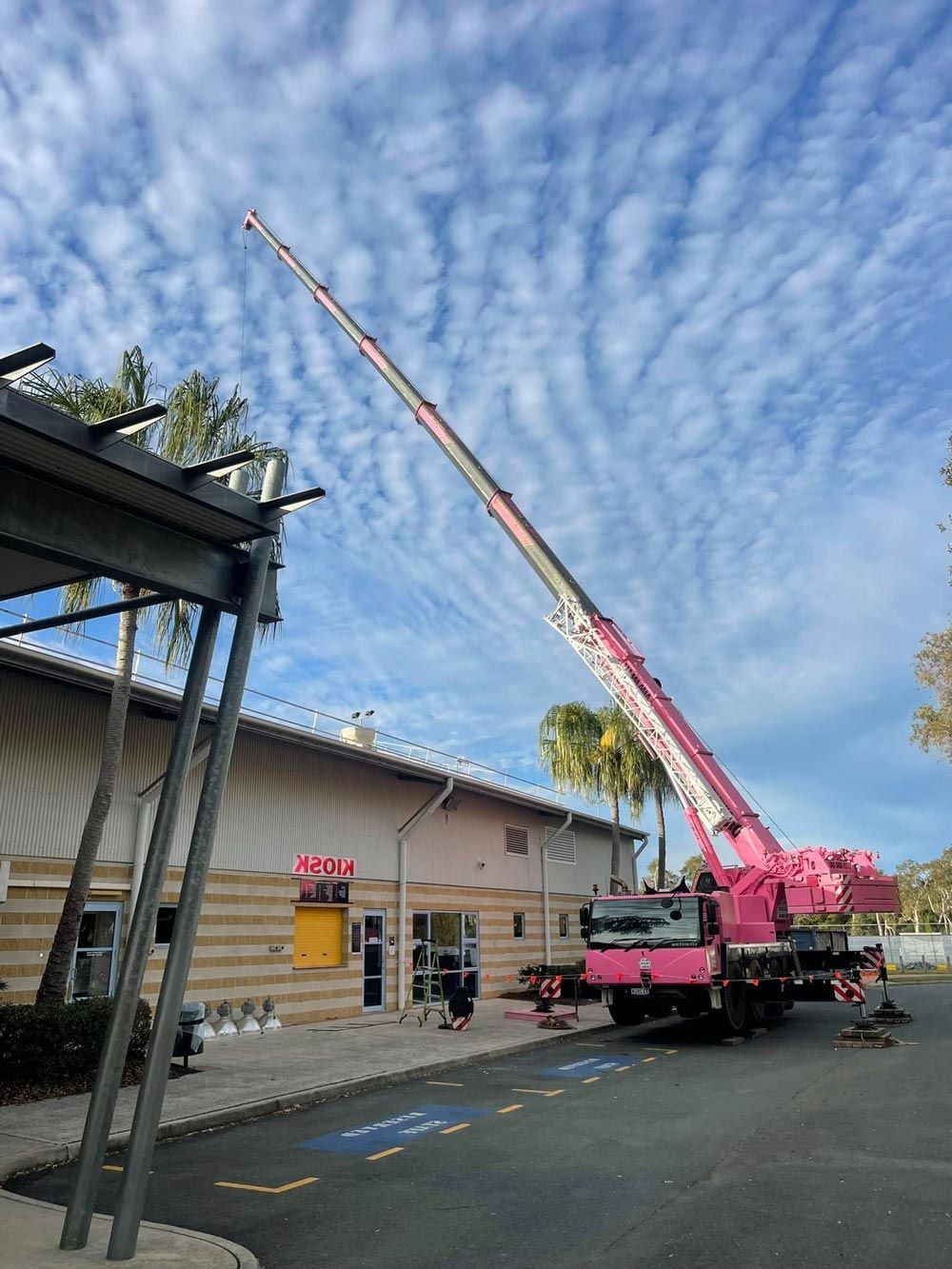 A Pink Crane In Sunshine Coast