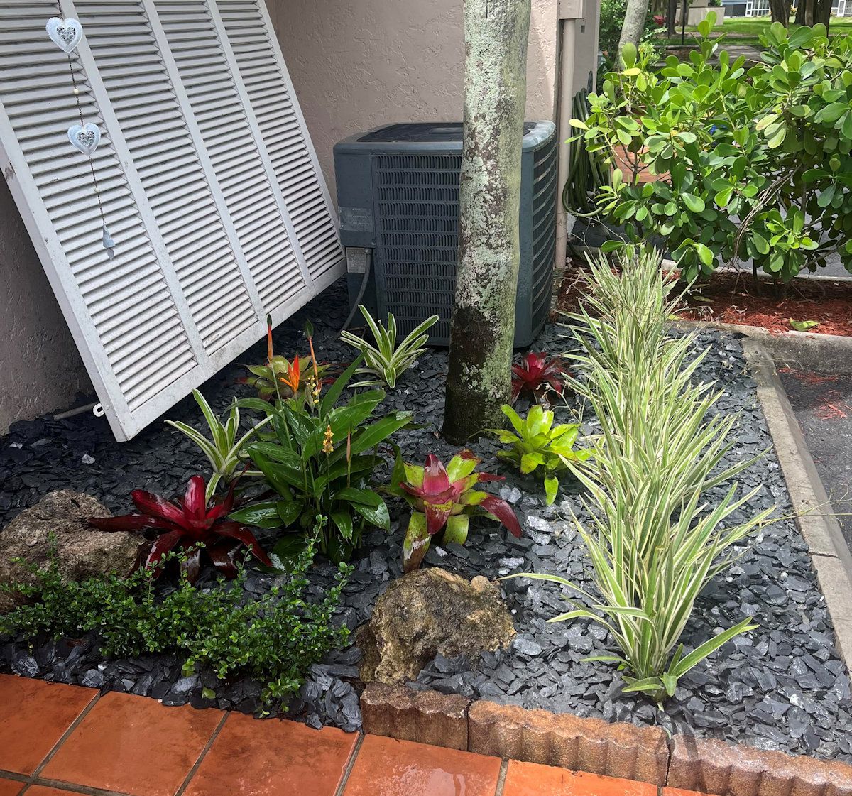 Landscaped bed with various plants, black mulch, and large rocks near a building and walkway.