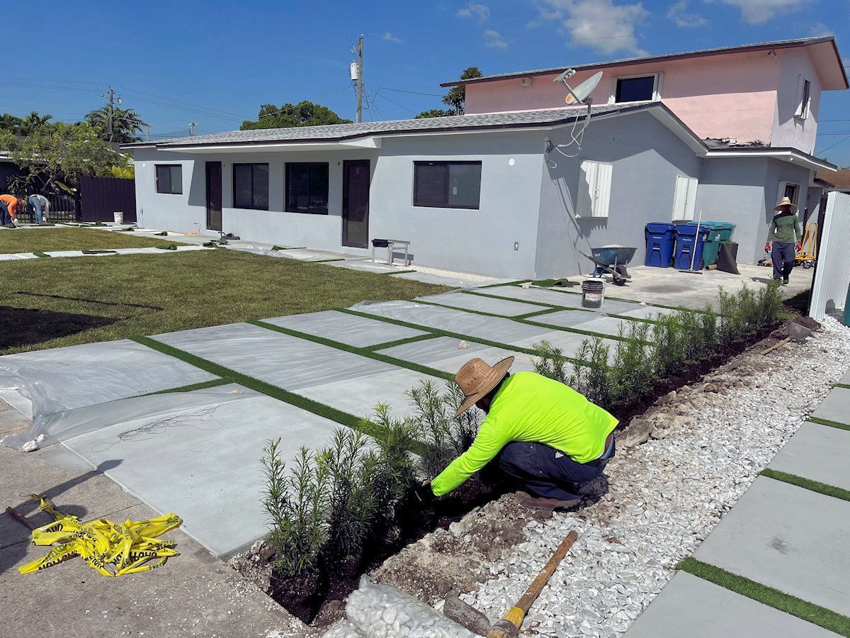 Man planting bushes next to a concrete path in front of a house on a sunny day.
